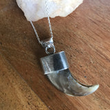 Bear Claw Set in Sterling Silver With Turquoise Accent