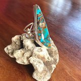 Opalescent Petrified Wood Ring in Sterling Silver