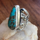 Opalescent Petrified Wood Ring Set in Sterling Silver